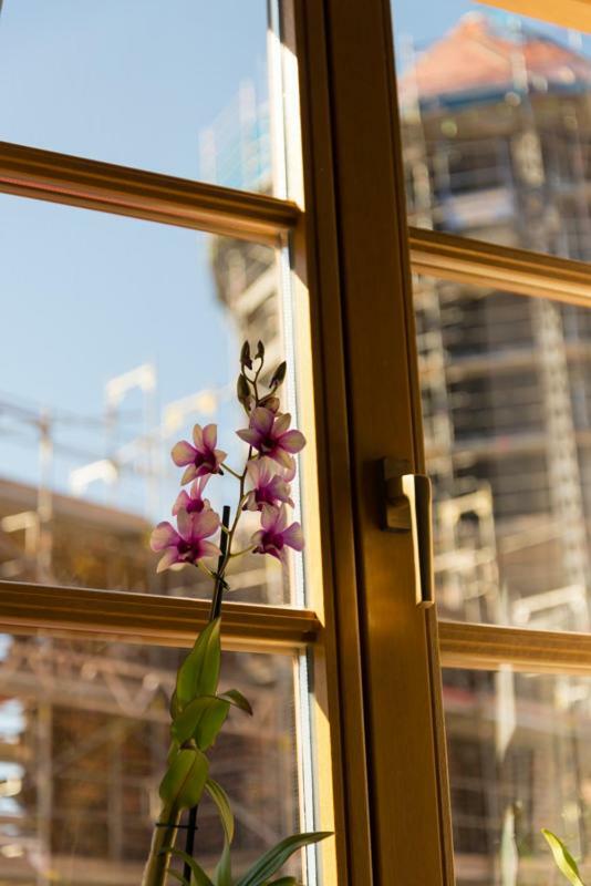Apartement 1 Grosse Bruedergasse Bautzen Εξωτερικό φωτογραφία